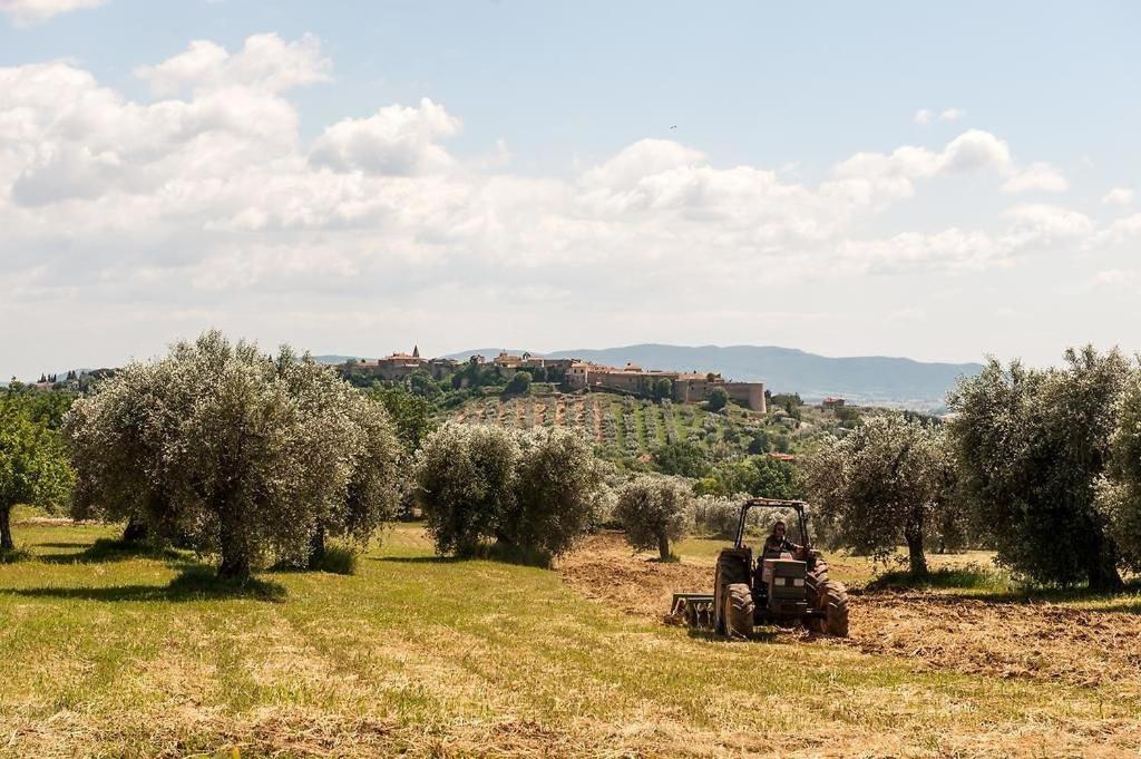 Tenuta Campospillo Magliano in Toscana Kültér fotó