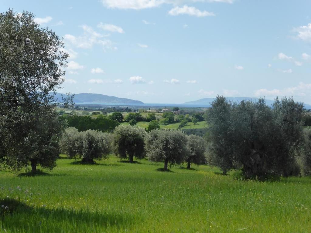 Tenuta Campospillo Magliano in Toscana Kültér fotó