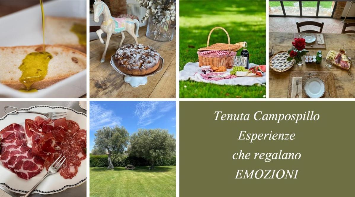 Tenuta Campospillo Magliano in Toscana Kültér fotó