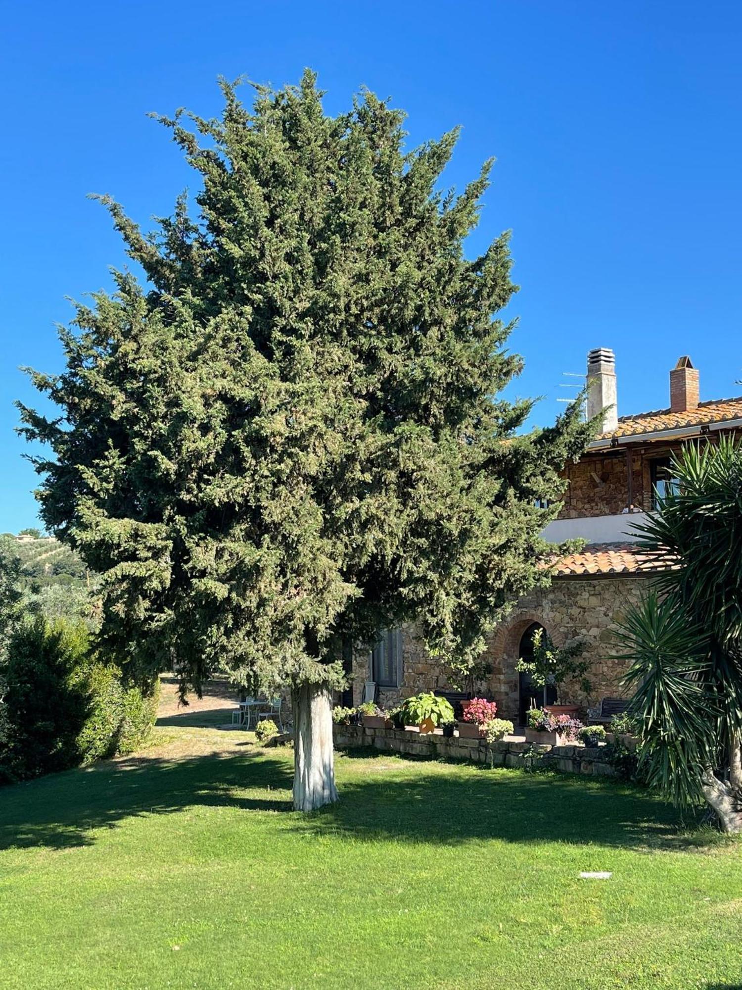 Tenuta Campospillo Magliano in Toscana Kültér fotó