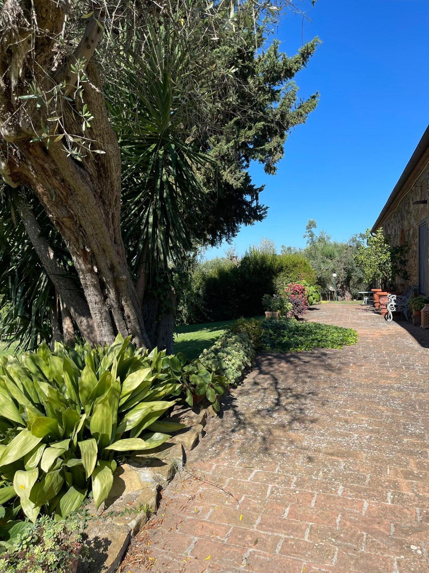 Tenuta Campospillo Magliano in Toscana Kültér fotó
